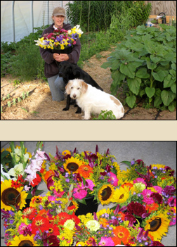 Driftless Ridge Farm