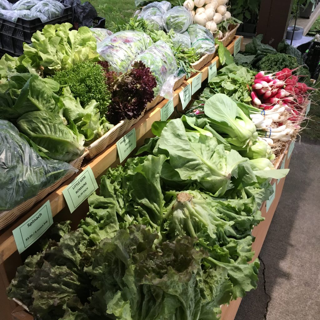May 9th Week 2 Mineral Point Market