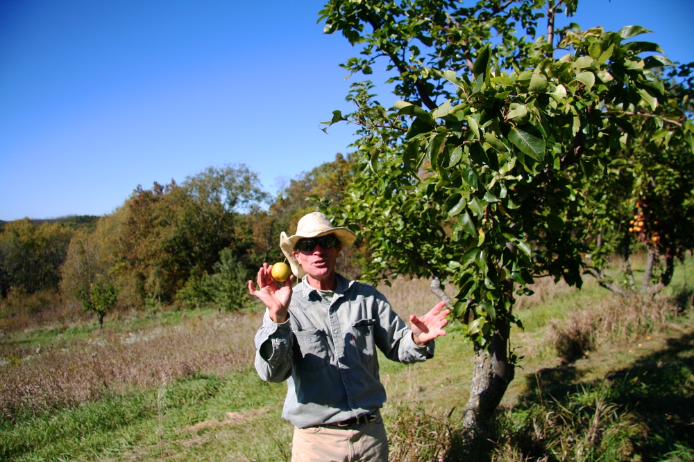 Open Saturday, September 23rd, 83011 am in Water Tower Park Mineral Point Market